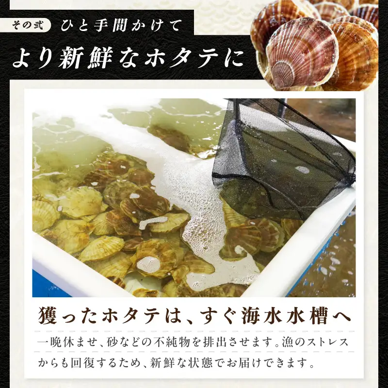 【予約：2026年10月下旬から順次発送】北海道漁師直送 最高鮮度3D冷凍ホタテ「しばれホタテ」 化粧箱入り 250g×2箱 ( 海鮮 魚介 魚介類 貝 ほたて 刺身 貝柱 海鮮丼 贈答 ギフト )【197-0009】