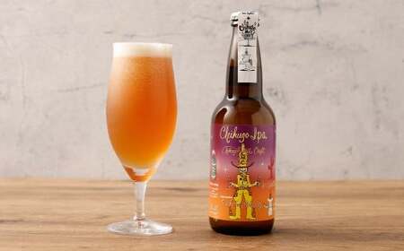クラフトビール 2種 6本 セット （330ml×6本 計1980ml） ／ ビール お酒 酒 アルコール 家飲み 晩酌 ギフト 贈答 贈り物 プレゼント