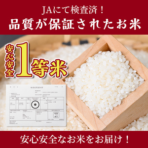 【F7199】《定期便・全6回》上士別清流米 ななつぼし (10kg×6回・計60kg) 米 お米 精米 白米 北海道米 ごはん ななつぼし 北海道産 士別産 10kg 60kg 定期便 【合同会社T&M】