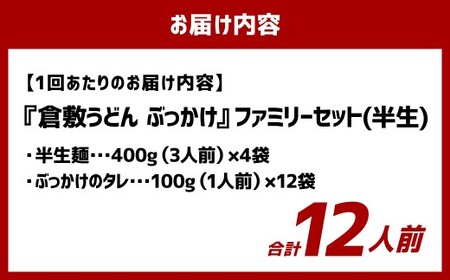 【12ヶ月定期便】『倉敷うどん ぶっかけ』ファミリーセット(半生) 12人前×12回 うどん 麺類 麺 半生 半生麺 ぶっかけうどん タレ つゆ 岡山県 倉敷市