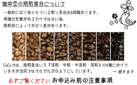 【宝塚】発送日・当日自家焙煎珈琲マチュピチュ100g miniminiサイズ【豆】