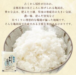 【6回定期便】【無洗米】丹波産キヌヒカリ 6kg 真空パック 無洗