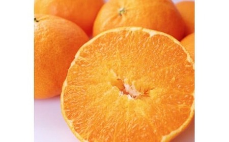 【先行予約】【発送期間:2027年2月～なくなり次第終了】【贈答用】甘平 約750g みかん