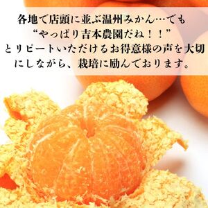【先行予約】【発送期間：2026年10月～なくなり次第終了】愛媛みかん 約1kg みかん