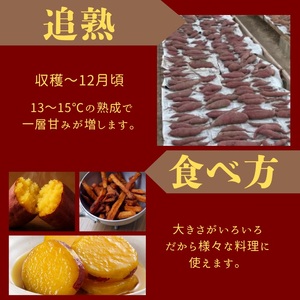 安納芋 5kg 野菜 サツマイモ 芋《訳あり》