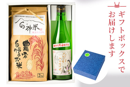 日本酒・米 セット 白神米 あきたこまち 秋田県産 2kg【白米】令和7年産 日本酒 純米吟醸「白神こまち」720ml