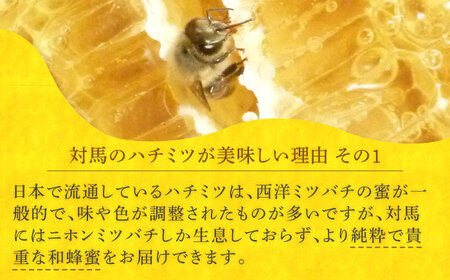 【全12回定期便】 対馬 和蜂 はちみつ 300g×1本 《対馬市》【特定非営利活動法人 對馬次世代協議会（対馬コノソレ）】 蜂蜜 ハチミツ 日本ミツバチ ニホンミツバチ[WAM048]