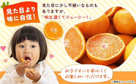 ＜温州みかん（明浜みかん） 家庭用 約5kg＞ 温州 うんしゅう みかん 蜜柑 旬 果物 フルーツ 柑橘 明浜 低農薬 ご家庭用 国産 愛媛県産 送料無料 特産品 井上農園 愛媛県 西予市【常温】『2025年11月～12月中旬迄に順次出荷』AIK0002