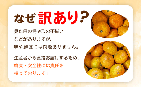 ＜fululy直送 温州みかん 訳あり 約3kg 中玉サイズ（S～L）＞ ワケアリ サイズ混合 中玉 果物 フルーツ 蜜柑 うんしゅうみかん ウンシュウミカン 柑橘 家庭用 合同会社fululy 直送 愛媛県 西予市【常温】『2025年11月上旬～2026年2月上旬迄に順次出荷』 AGF0003