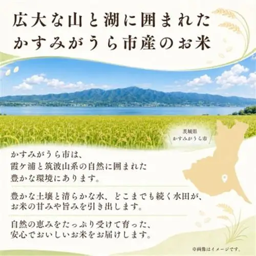 【毎月定期便】茨城県かすみがうら市産　精米　コシヒカリ5kg全3回【4076522】