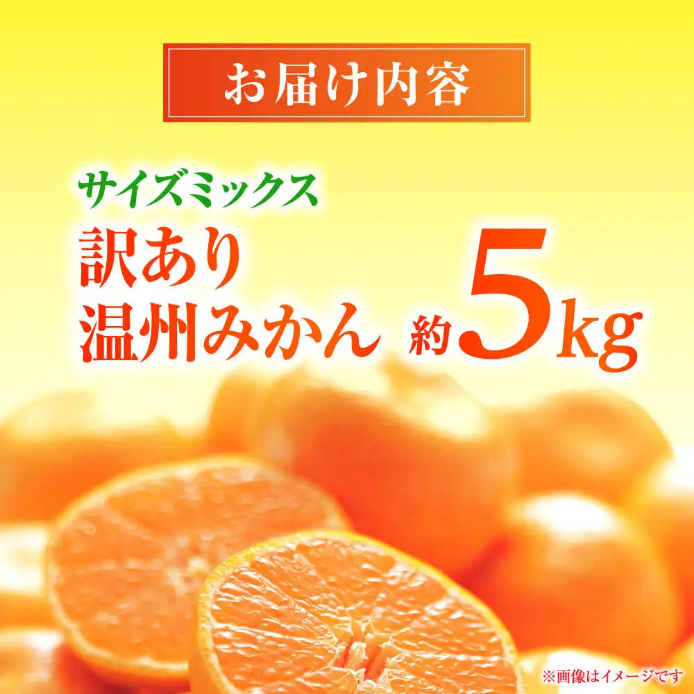【先行予約】 温州みかん 訳あり サイズミックス 3S-3L 約5kg みかん 蜜柑 サイズ 不選別 家庭用 柑橘 フルーツ 果物 【日本フルーツ株式会社】[ZFJ050]