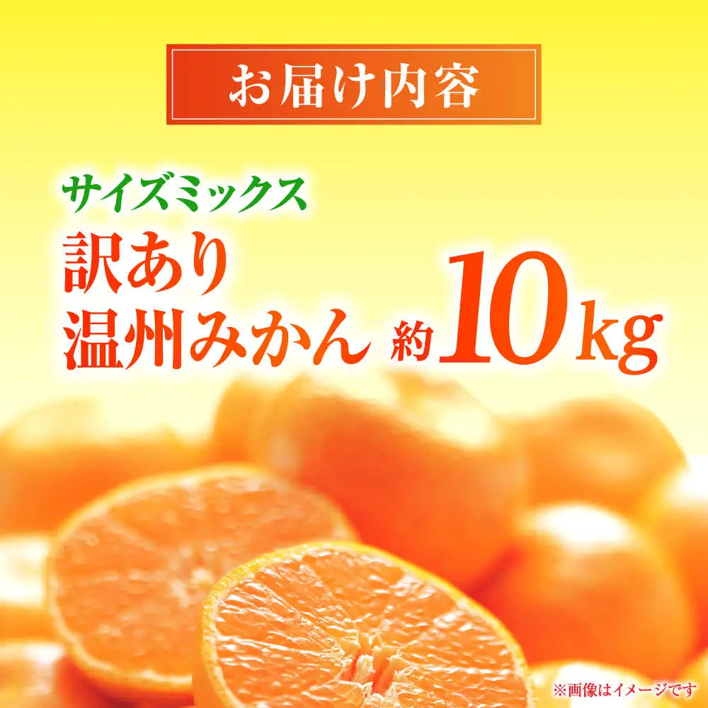 【先行予約】 温州みかん 訳あり サイズミックス 3S-3L 約10kg みかん 蜜柑 サイズ 不選別 家庭用 柑橘 フルーツ 果物 【日本フルーツ株式会社】[ZFJ051]
