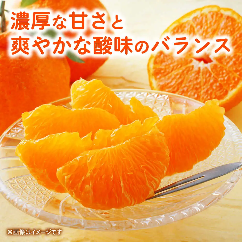【先行予約】デコポン　約2kg 柑橘 みかん 蜜柑 熊本 フルーツ 果物 【日本フルーツ株式会社】[ZFJ032]