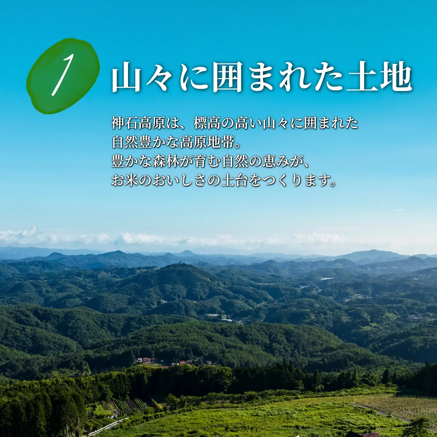 【ふるさと納税】コシヒカリ 神石高原産 新米 5kg 令和8年産 ＜美味しいお米を知っていただきたい＞ お米 白米 ご飯 ごはん 白ご飯 白飯 国産 コメ 広島県 神石高原町 送料無料《1カ月以内に出荷予定(土日祝除く) 》