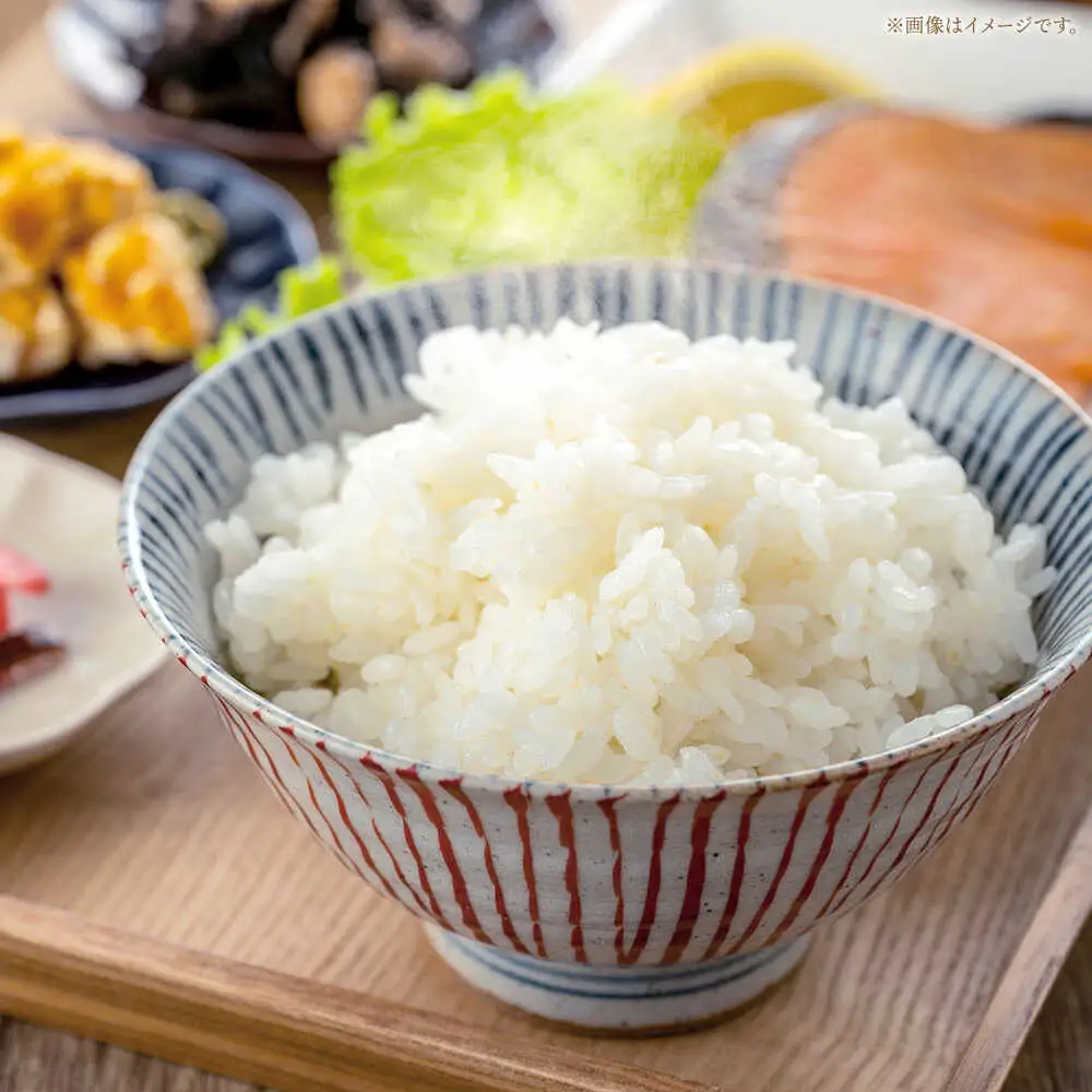 令和7年産 コシヒカリ 5kg 白川町 / 白川町農業開発[AWAH030]コシヒカリ