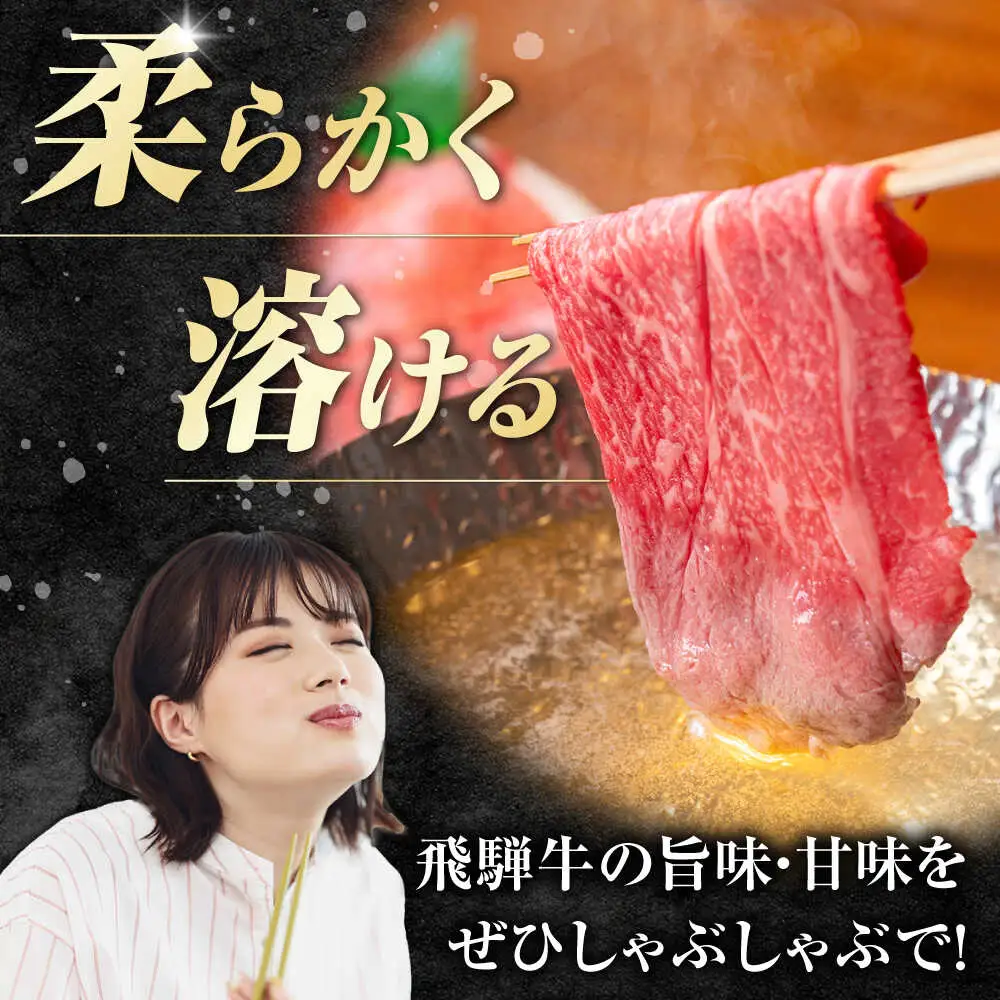 【6回定期便】飛騨牛 牛しゃぶ用赤身 600g / 浅井商店[AWBJ019] 飛騨牛