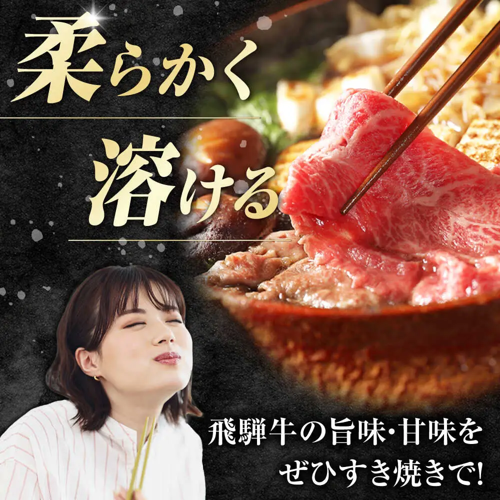 【12回定期便】飛騨牛 すき焼き用赤身 600g / 浅井商店[AWBJ026] 飛騨牛