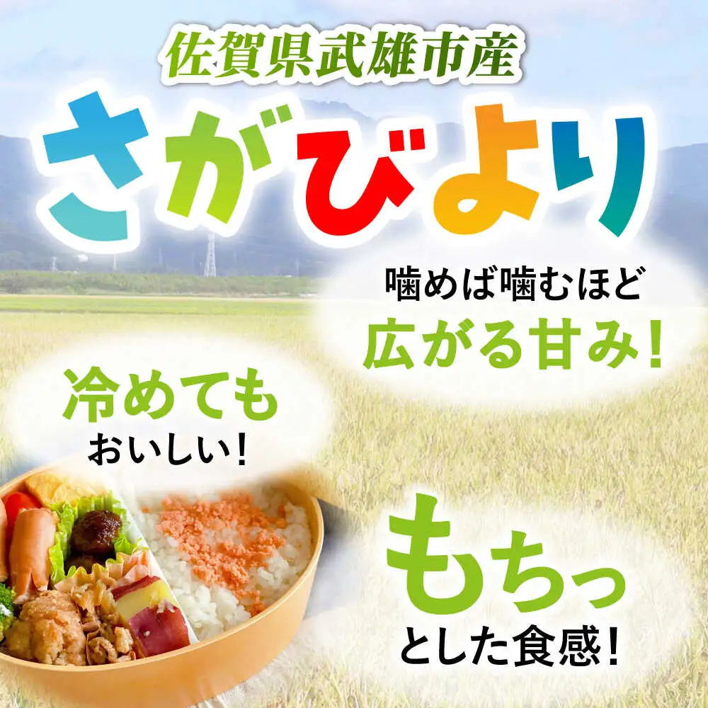 【3回定期便】さがびより 白米 10kg /JA食糧さが[UDS002] お米 定期便