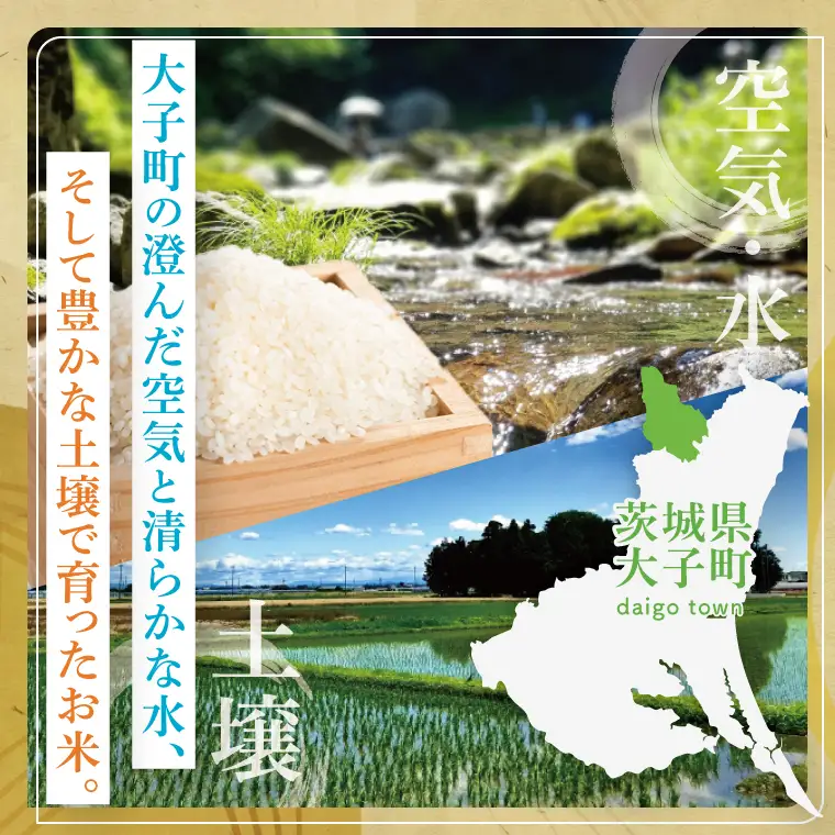 【金賞農家が栽培した家庭用米】立神米「ゆうだい21」5kg（白米）令和8年産 【谷田部農産】｜茨城県 大子町 米 コンテスト 受賞 生産者 大子産米 産地直送 令和8年産（BT074）