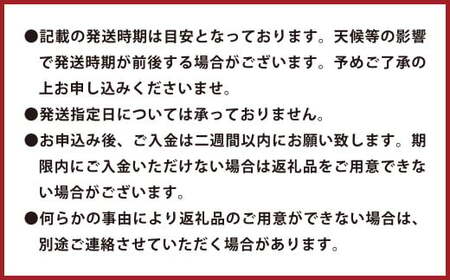 環境マイスターのスイートスプリング 良品・訳あり混合 4kg （栽培期間中は無肥料・農薬不使用） 環境マイスター 水俣市産 【2026年11月下旬-2027年1月下旬迄順次発送予定】
