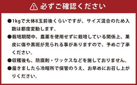 環境マイスターのポンカン 良品・訳あり混合 4kg （栽培期間中は無肥料・農薬不使用） 果物 くだもの フルーツ ぽんかん 柑橘 みかん 【2027年1月下旬-3月上旬迄順次発送予定】