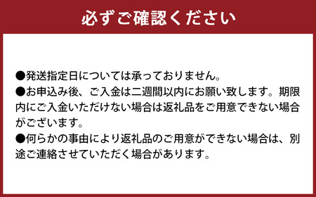 環境マイスターの不知火 良品 10kg （栽培期間中は無肥料・低農薬） 果物 くだもの フルーツ 不知火 しらぬい 柑橘 みかん 【2027年2月上旬-4月下旬迄順次発送予定】
