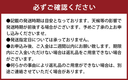 【訳あり】環境マイスターの不知火 10kg （栽培期間中は無肥料・低農薬） 果物 くだもの フルーツ 不知火 しらぬい 柑橘 みかん 【2027年2月上旬-5月上旬迄順次発送予定】