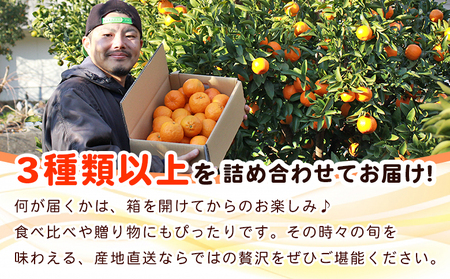 ＜fululy直送 柑橘詰合せセット 約3kg＞ 詰め合わせ 旬 食べ比べ おまかせ 果物 フルーツ 蜜柑 ポンカン 伊予柑 せとか 甘平 八朔 はるか 文旦 柑橘 贈答用 合同会社fululy 直送 愛媛県 西予市【常温】『2026年2月上旬～3月下旬迄に順次出荷』 AGF0013