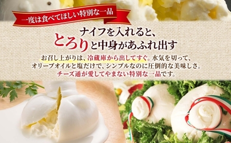 ブッラータ 125g｜チーズ ブッラータチーズ 北海道 札幌市