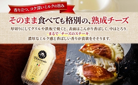 カチョカヴァッロ 500g×2｜チーズ 北海道 札幌市