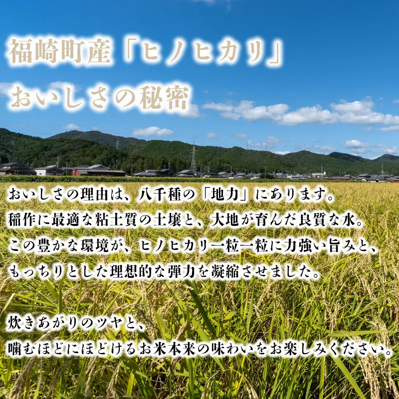 【玄米】 【新米予約】令和8年産 ヒノヒカリ 八千種米 お米 10kg ごはん 兵庫県産 世界かんがい施設遺産登録『西光寺野疏水路』