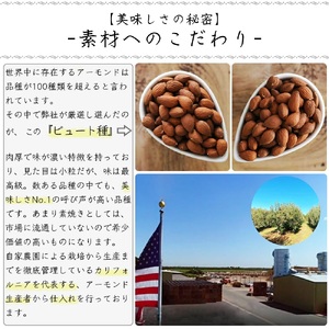 素焼きアーモンド 約1kg（18g×30袋×2箱 計1.08kg）小分け 無塩 ビュート種 食べきりサイズ_素焼き アーモンド 約1kg 18g × 60袋 (30袋×2箱) 計1.08kg 小分け 無塩 ノンオイル ビュート種 ロースト 食べきりサイズ ブレイクタイム お菓子 おつまみ おやつ 常温保存 お取り寄せ 福岡県 久留米市 送料無料 〔Ca509〕
