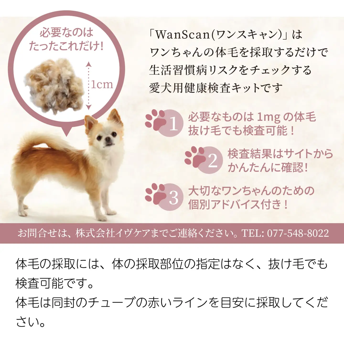 Wan Scan 愛犬用健康検査キット[EV003] / 愛犬 検査 生活習慣 健康検査キット メラトニン ストレス 肥満 リスク 送料無料