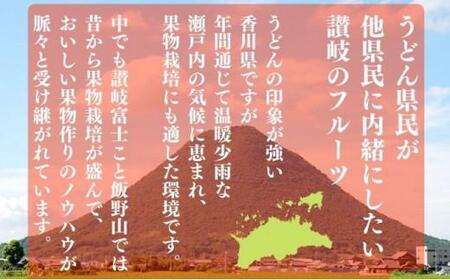 【2027年5月下旬以降発送】 びわ なつたより  約500g 化粧箱 贈答用 先行予約 枇杷 香川県 丸亀市