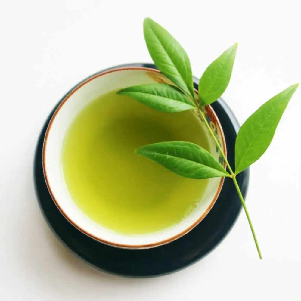 八女茶 煎茶セット 100g×2袋 [VEH016]