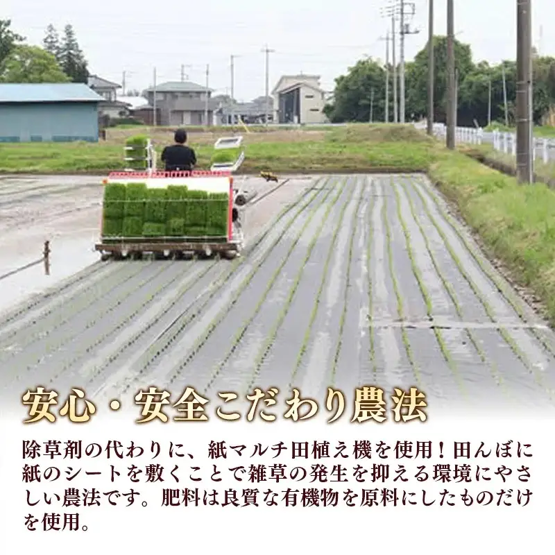 【令和7年産】無農薬・無化学肥料栽培 埼玉県幸手市産特別栽培コシヒカリ 「幸ヒカリ」精米5kg -  米 特別栽培米 幸手市産