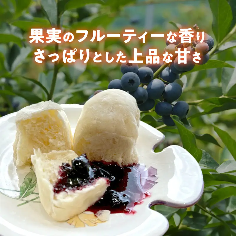 ブルーベリーソース 3本 180g×3 