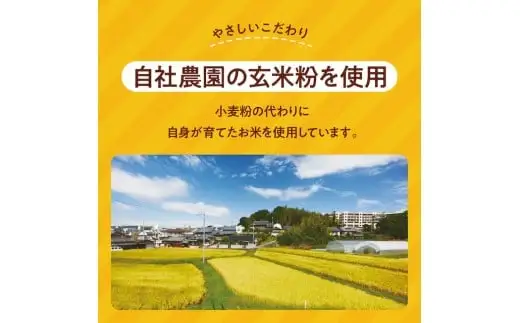 【定期便】令和7年産：ヒノヒカリ白米5kg＋バターチキンカレー4袋×4ヶ月　150-019