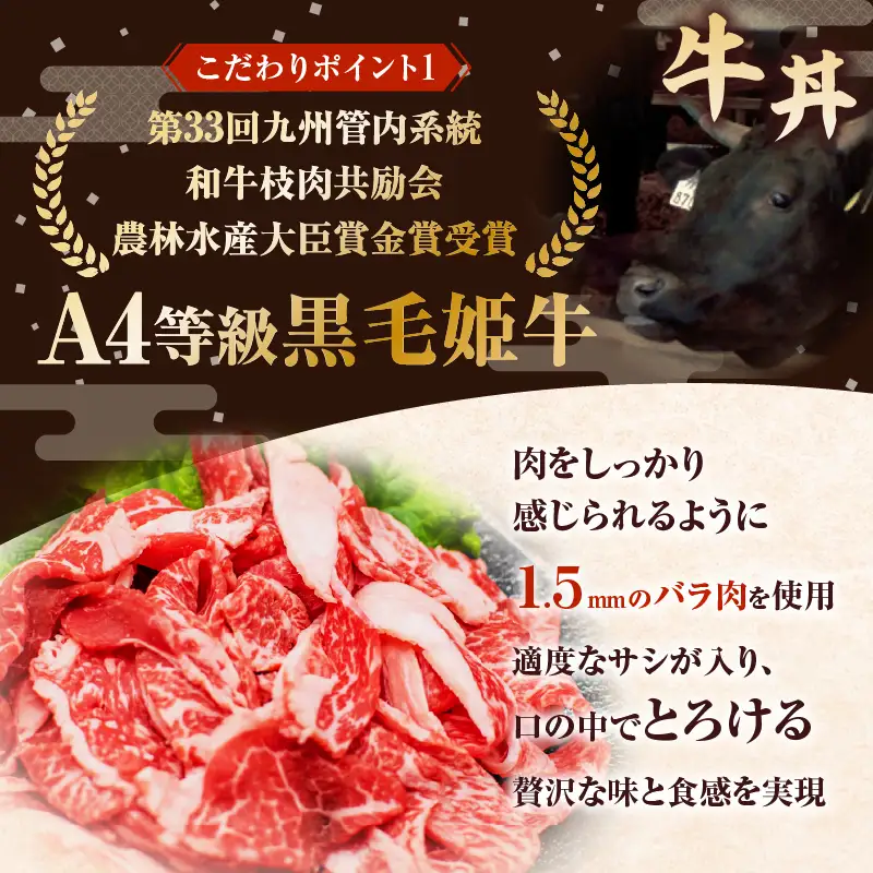 【 全6回 定期便 】鹿児島 の 丼 の 具 3種セット（2人前） K258-T05_02b 肉 豚肉 牛肉 惣菜 総菜 冷凍