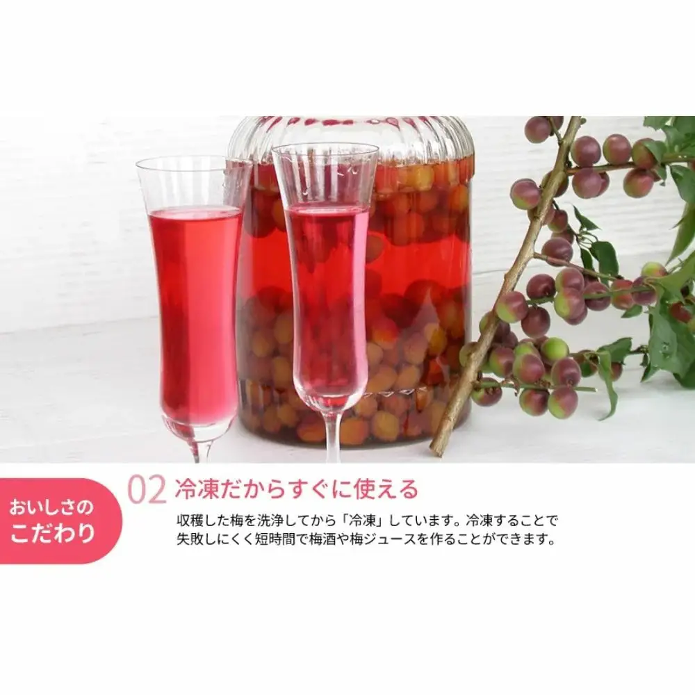 冷凍パープルクィーン 800g（400g×2） / 紀州南高梅 南高梅 青梅 梅 ウメ うめしごと 紀州 梅酒 梅ジュース 梅シロップ 和歌山県 田辺市 【kng030】