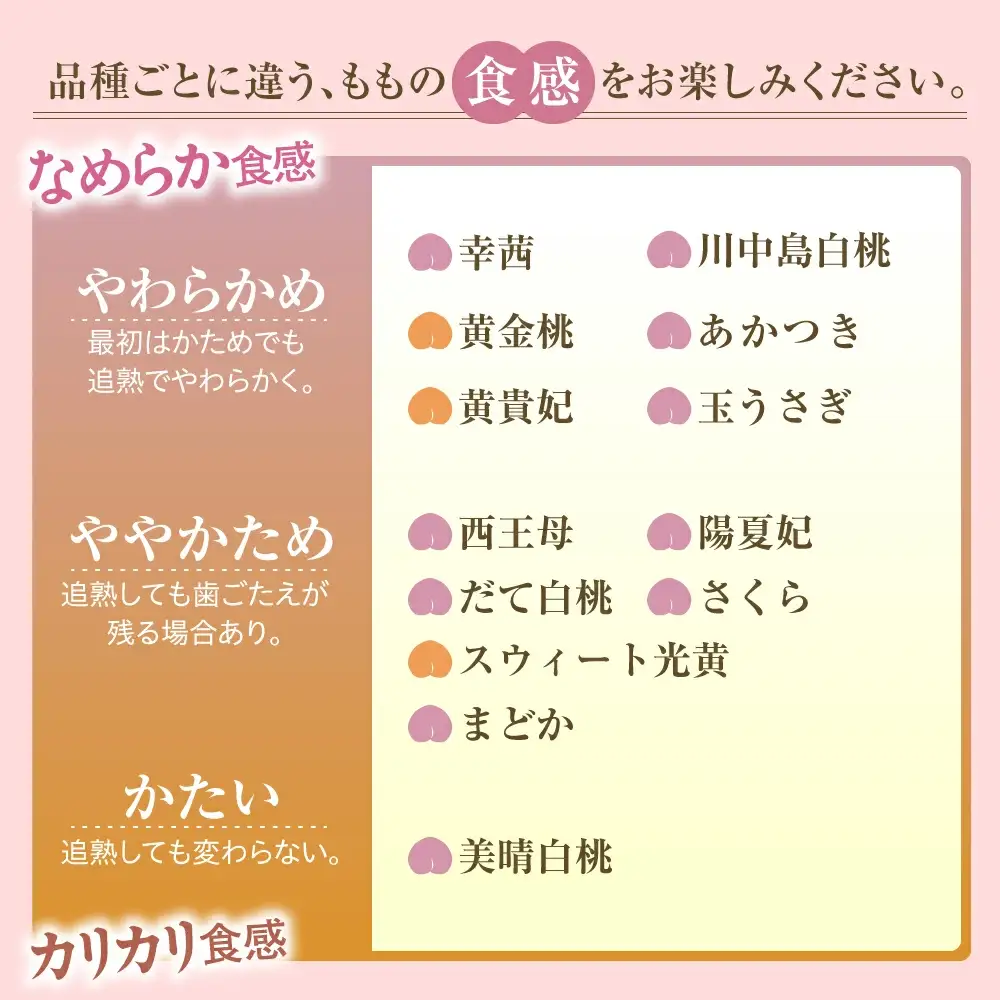 もも 2品種 詰合せ 約 5kg 白桃 黄桃