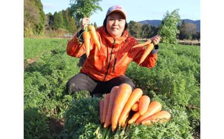【先行予約】【訳アリ】朝採れ！アグリ福ちゃん 冬野菜セット（5種類） 旬 野菜 冬野菜 セット 【2026年12月上旬-2027年2月下旬頃発送予定】 ZS-6135
