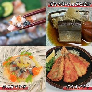 【2026年先行予約】 訳あり 鮮さんま 約2kg ＼ さんま ／