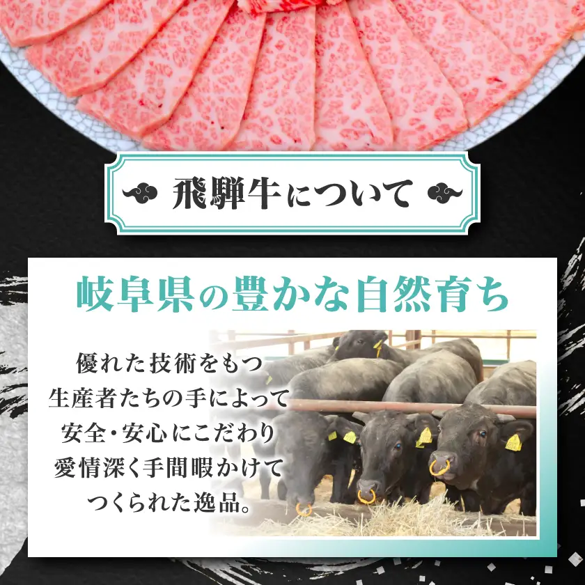 【ふるなびWEEK対象】【飛騨牛】白銀焼肉用500g【配送不可地域：離島】【1686848】