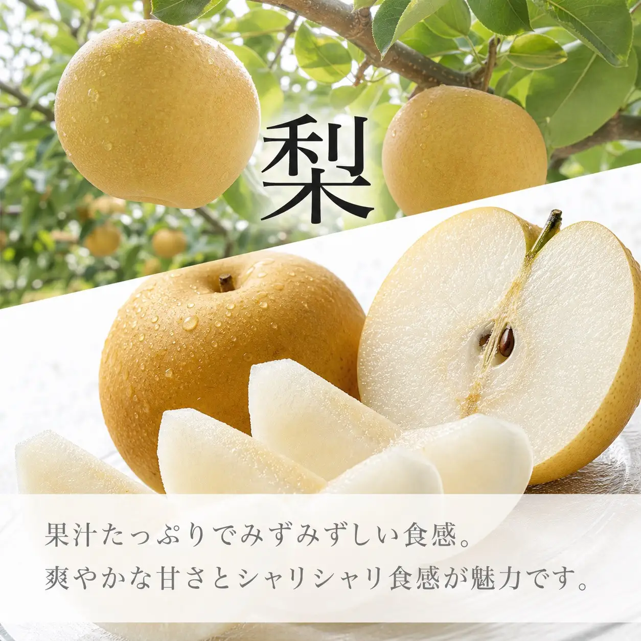 【全2回 定期便】 紀州和歌山産旬のフルーツセット（8月：桃約1.8kg・9月：梨約2kg） ［UT139］
