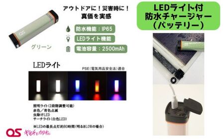 AG49　8W ソーラーシートチャージャーセット ／GN-150B1 【 防災 防災用品 防災グッズ 台風 停電 アウトドア 充電 発電 ソーラー発電 ソーラーパネル 持ち運び ポータブル コンパクト キャンプ 非常時 バッテリー 防水 LED ライト 】