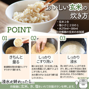【2026年先行予約】コシヒカリ 玄米 10kg | 玄米