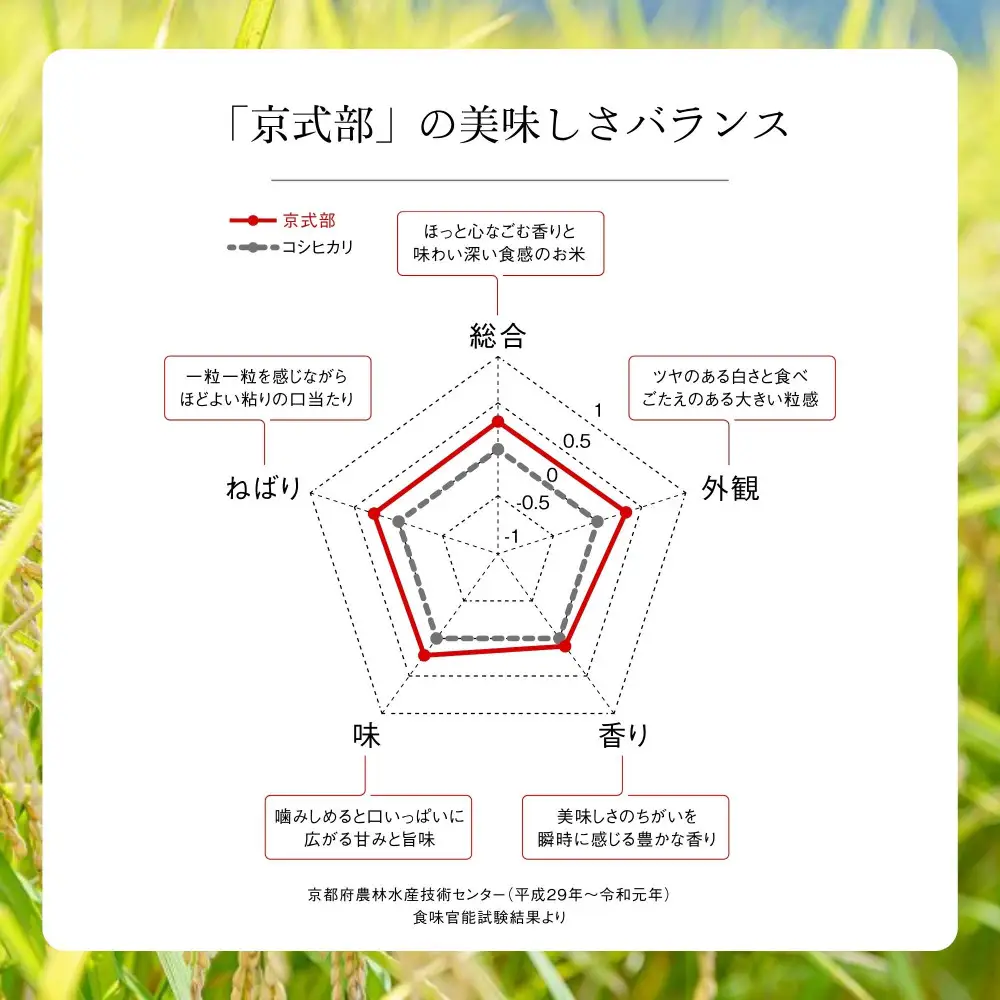 【大和物産】令和7年 特別栽培米「京式部」5kg｜白米 精米 人気セット