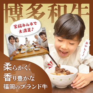 黒毛和牛 (博多和牛)  切り落とし 計4.0kg(400g×10パック)【伊豆丸商店】_HA1943
