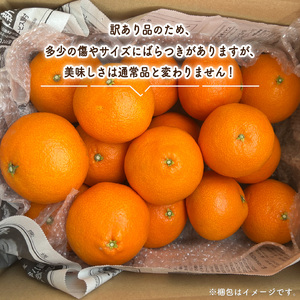 【訳あり】 愛果28号 約5kg 【2026年12月上旬頃から順次発送】 | 愛媛果試第28号 あいか 愛果28号 みかん 柑橘 アイカ 先行予約 ミカン かんきつ 果物 フルーツ おすすめ 蜜柑 送料無料 愛媛県 松山市【YSN001】